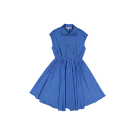 PALLIATE-Blue