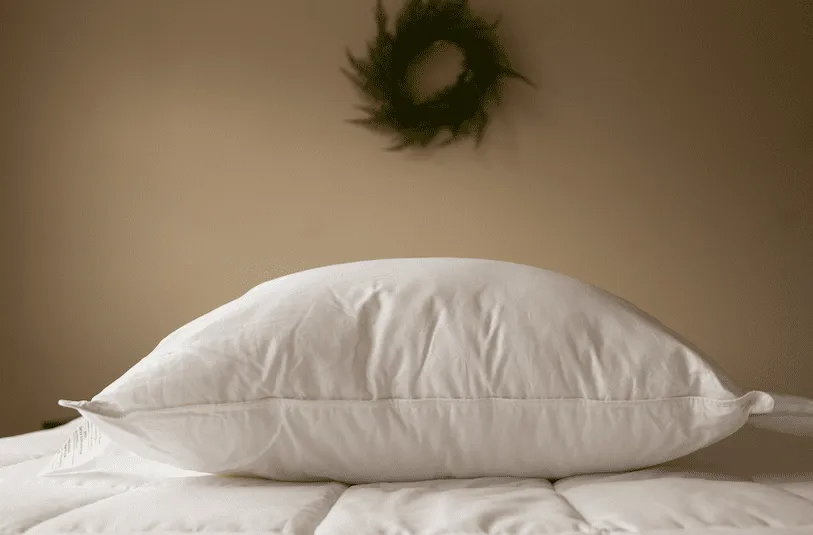 Pillowtex Premium Polyester Pillow | Firm